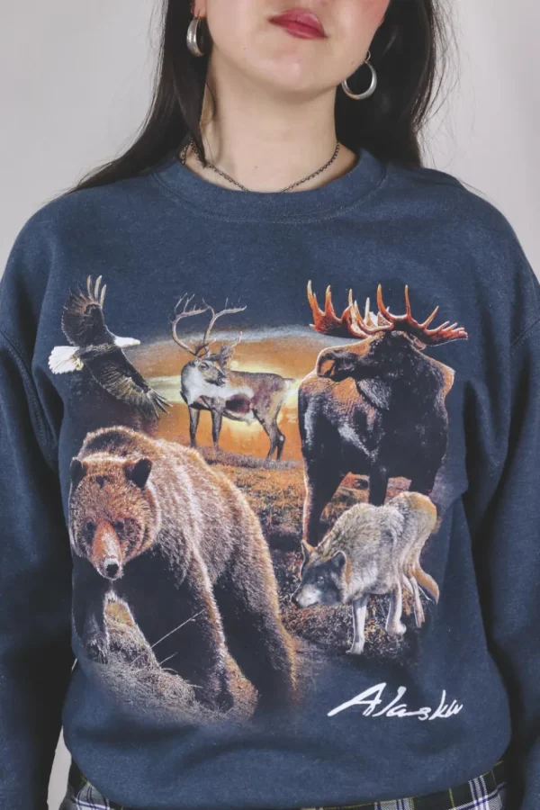 Alaska vintagecollege
