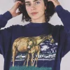 Blue horse vintagecollege