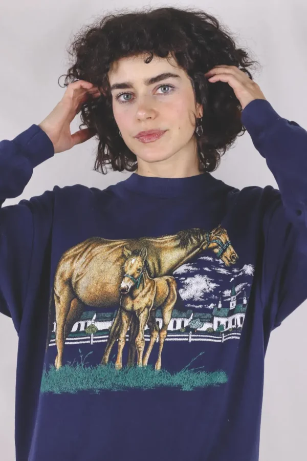 Blue horse vintagecollege