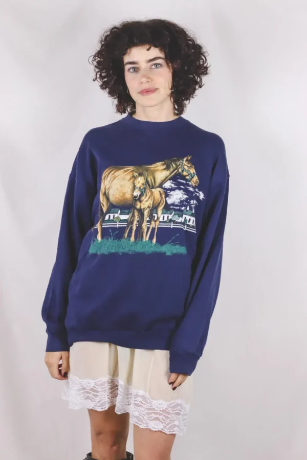 Blue horse vintagecollege