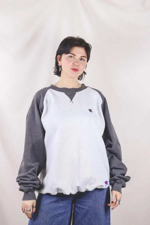 Champion multicolor vintagecollege