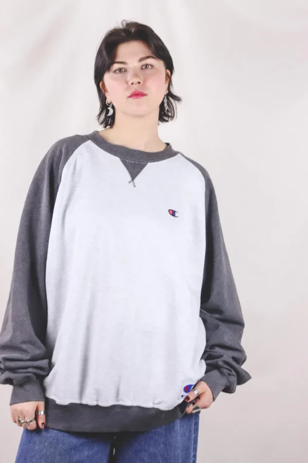 Champion multicolor vintagecollege