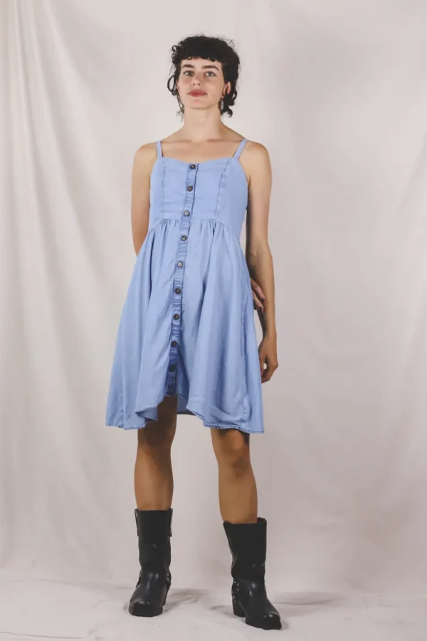Delma vintagemekko