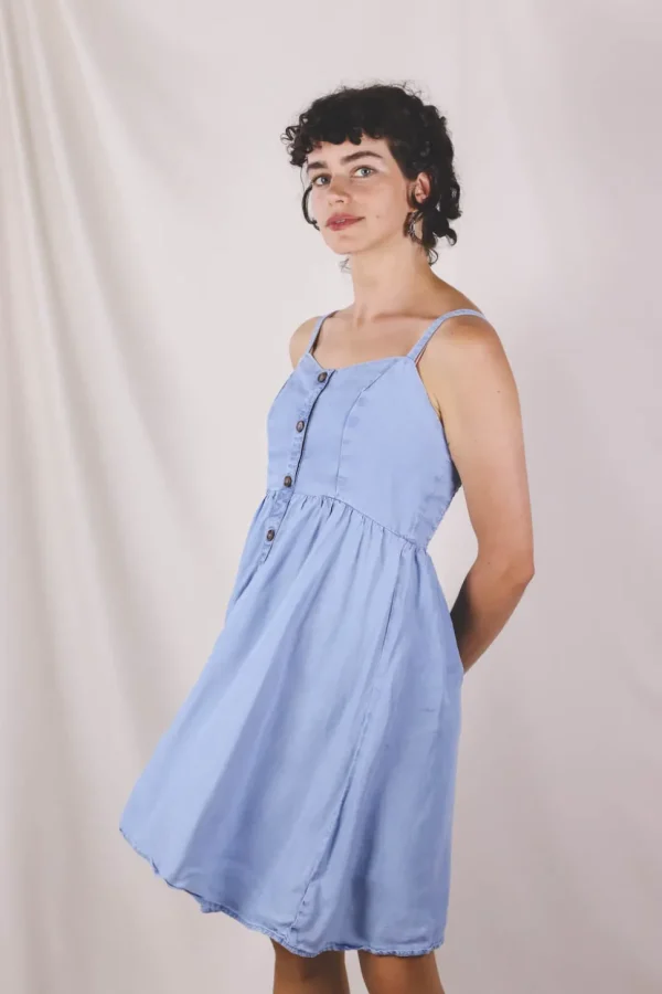 Delma vintagemekko