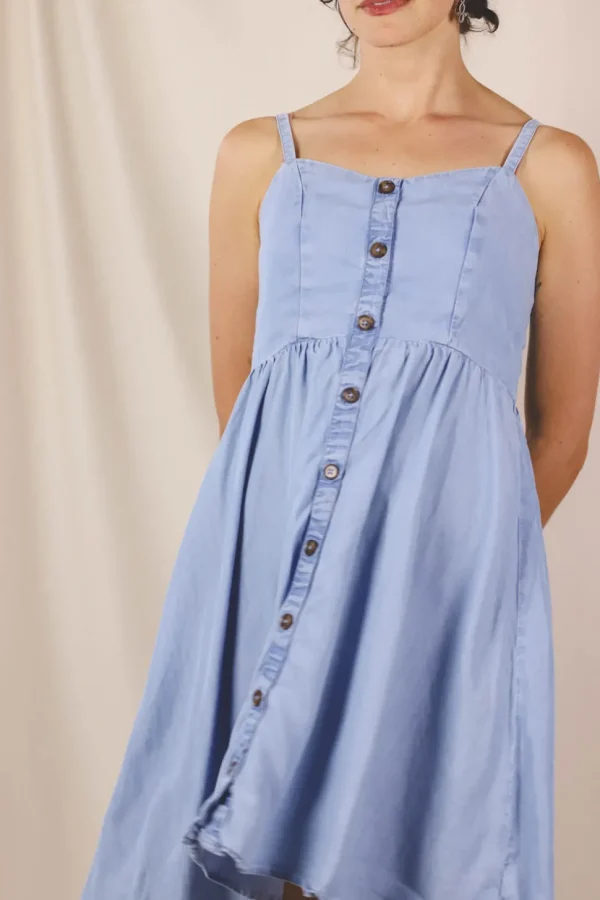 Delma vintagemekko