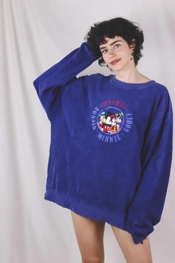 Disney froteecollege