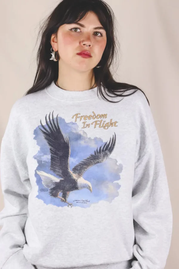 Freedom in flight vintagecollege