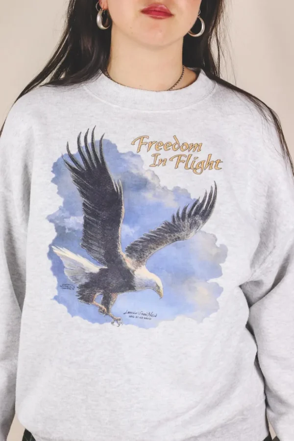 Freedom in flight vintagecollege