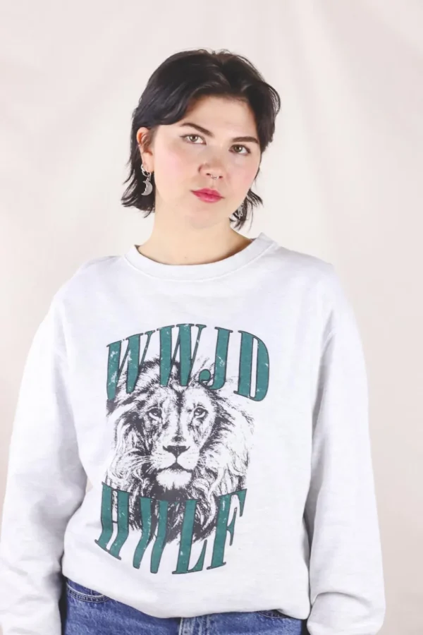 Lion 2handcollege