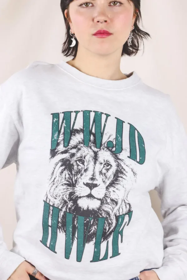 Lion 2handcollege
