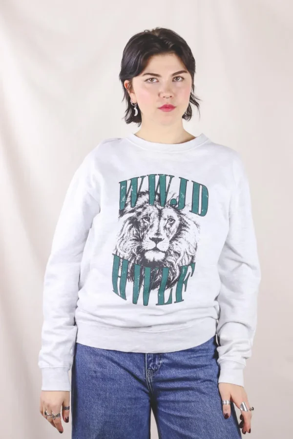 Lion 2handcollege
