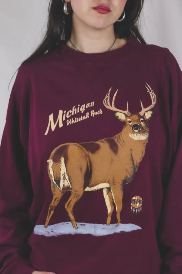 Michigan vintagecollege