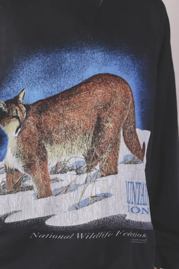 Mountain lion vintagecollege