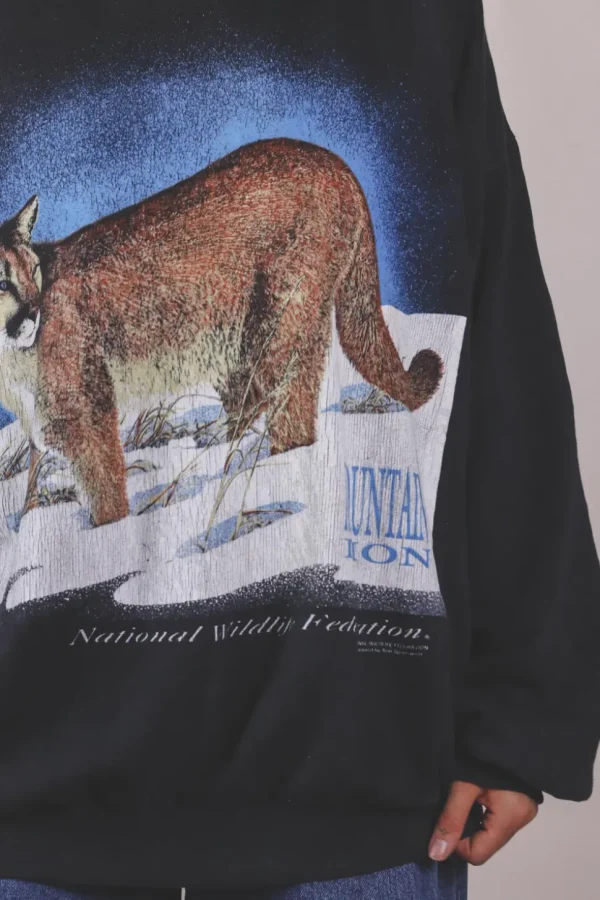Mountain lion vintagecollege