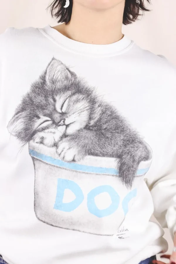Sleeping cat vintagecollege