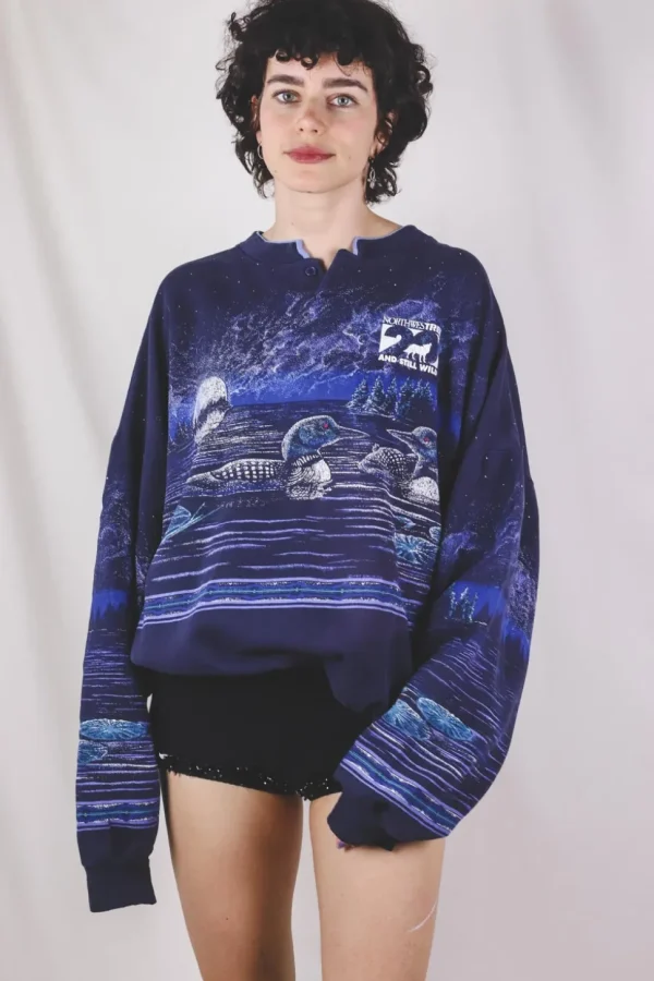 Still wild 90-luvun vintagecollege