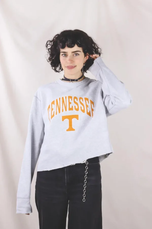 Tennessee 2handcollege
